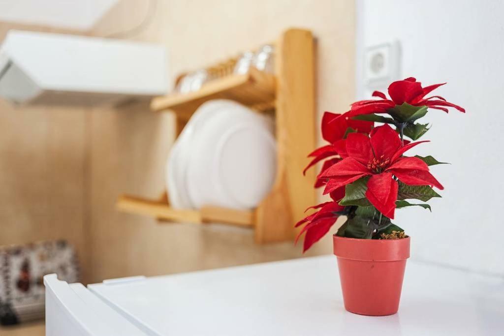 Apartamento Centro Vejer Vejer de la Frontera Exteriér fotografie